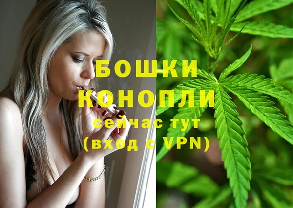 PSILOCYBIN Бронницы