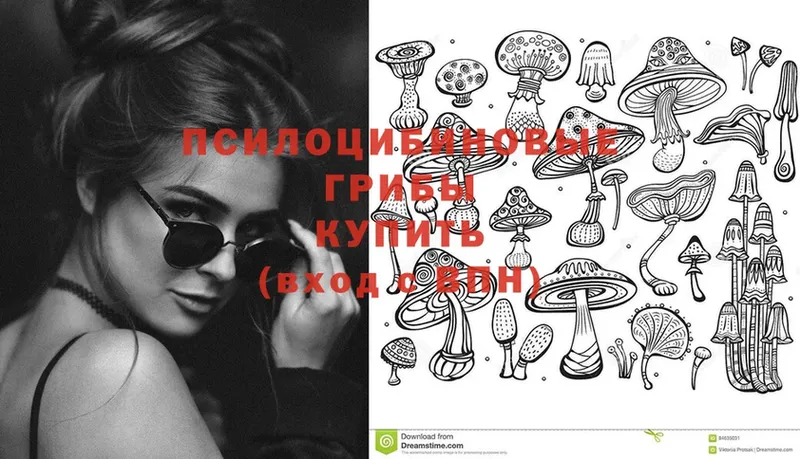 Галлюциногенные грибы Psilocybe  Вязники 